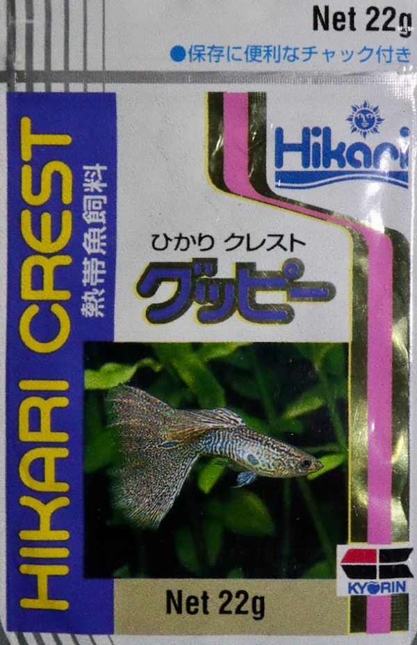 hikari_crestguppy