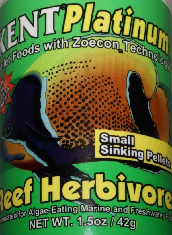 kent_reefherbivore_small